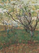 Vincent Van Gogh Orchard in Blosson (nn04) oil painting reproduction